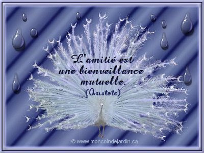 L'essence de l'amiti� est la confiance.